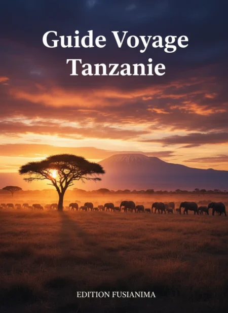 Guide Voyage Tanzanie